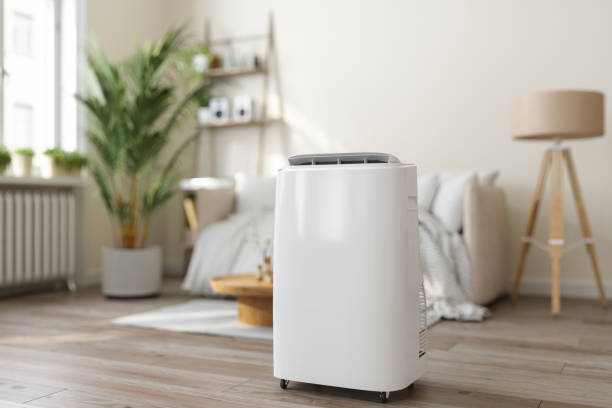 Best VRF (Variable Refrigerant Flow) Systems in Oostburg, WI